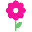 Orchid Lesson Icon