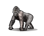 Gorilla Lesson Icon