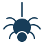 Spider Lesson Icon