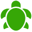 Design Turtle Tunnel Icon