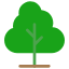 Nature Class Tree Icon