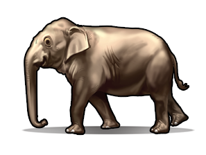 Elephant Icon