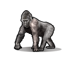 gorilla icon