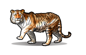 Tiger Icon