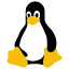 Gentoo Penguin Icon